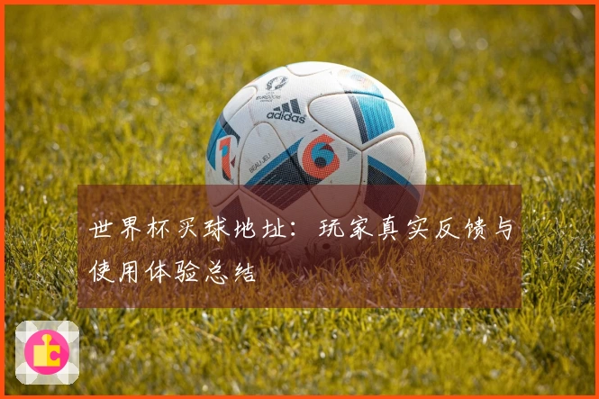 世界杯买球地址：玩家真实反馈与使用体验总结