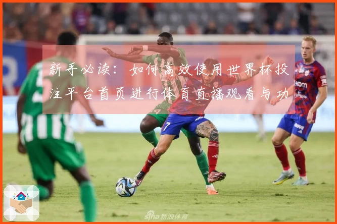 新手必读：如何高效使用世界杯投注平台首页进行体育直播观看与功能体验