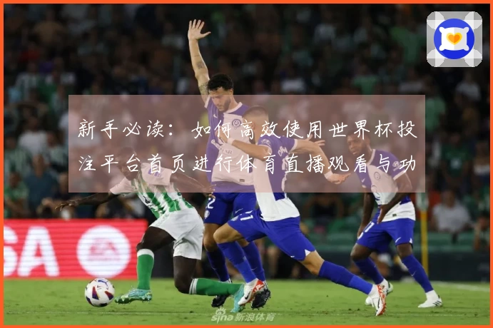 新手必读：如何高效使用世界杯投注平台首页进行体育直播观看与功能体验