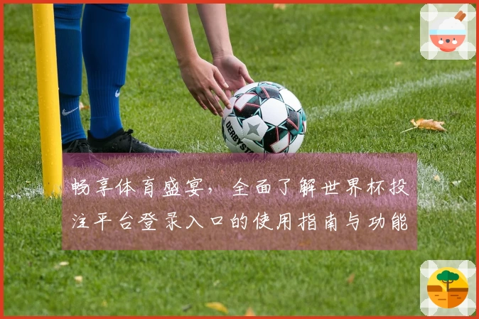 畅享体育盛宴，全面了解世界杯投注平台登录入口的使用指南与功能介绍