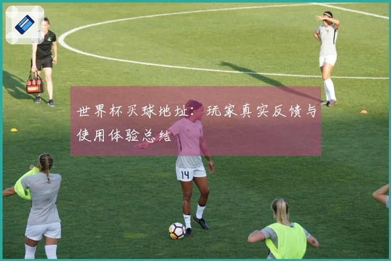 世界杯买球地址：玩家真实反馈与使用体验总结